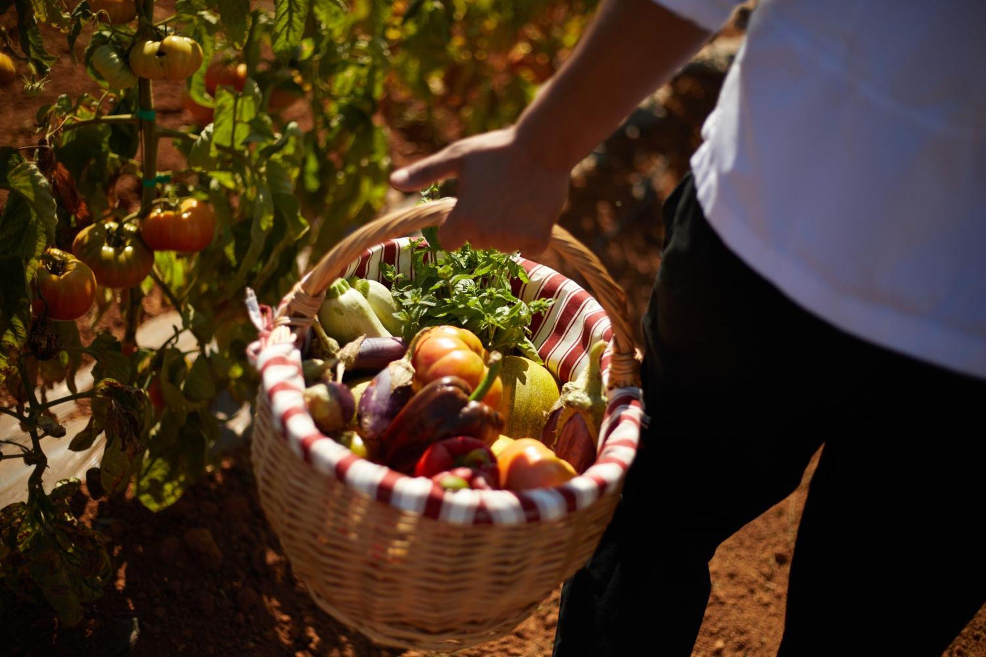 Alloggio per agriturismo Canto De Marina - Adults Only *