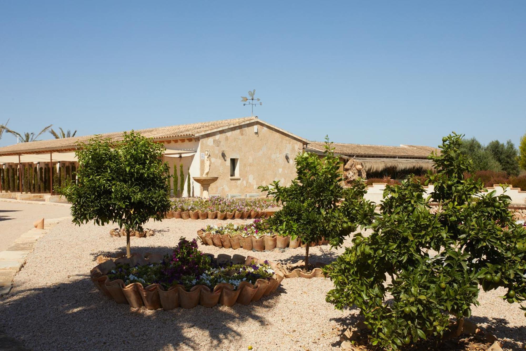 Alloggio per agriturismo Canto De Marina - Adults Only Campos (Mallorca)